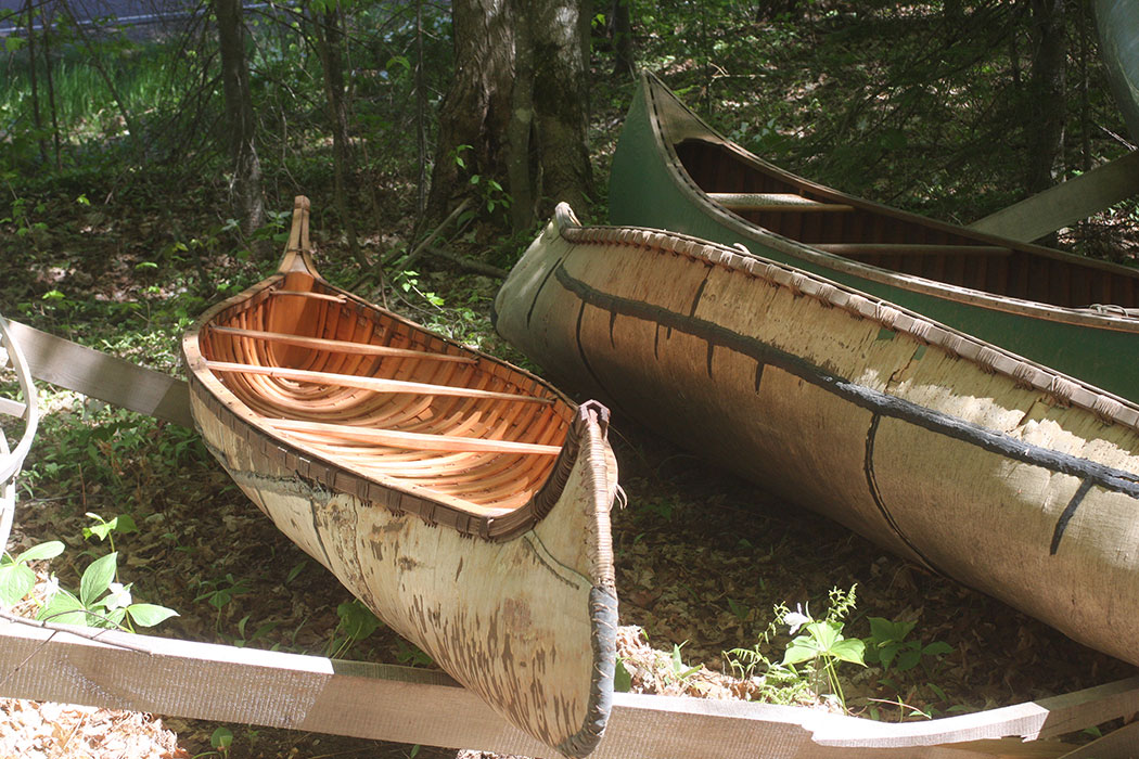 Building a birch bark canoe, collecting materials - Robin Wood