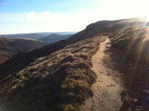 1425556_10153595260785438_1288262840_n