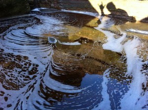 1468798_10153595244415438_189958529_n