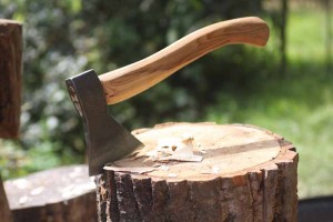 robin wood best carving axe